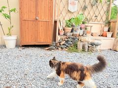 -小时光咖啡馆(开森度假森林店)