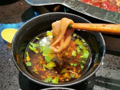 -渝宗老灶火锅(巴国城店)