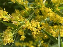 -长春公园(普阳街道)