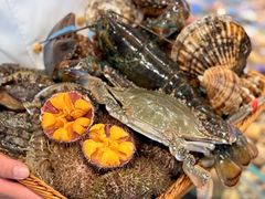 -连鹭海鲜·海肠捞饭·海胆饭(星海店)