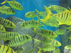 -福州罗源湾海洋世界旅游区