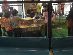 -大阪儿童乐园