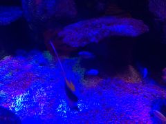 -沈阳海洋探索中心