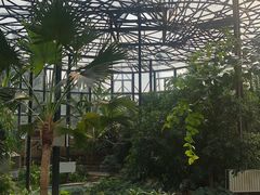 -武清南湖绿博园