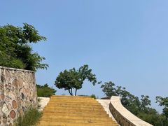 -北京西山国家森林公园