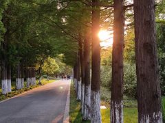 -昆山城市生态森林公园