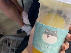 -野萃山·潮汕厚果汁(十亩地店)