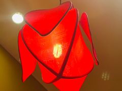 -芦月轩羊蝎子(劲松店)