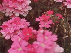 -西宁市人民公园(城西区)