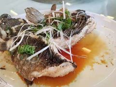油浸筍殼魚-仑头海鲜城(仑头环村南路店)