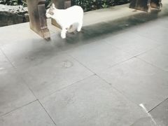 -乾园.魏庐湖景餐厅(花港店)