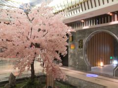 -添赐温泉馆(上南路店)