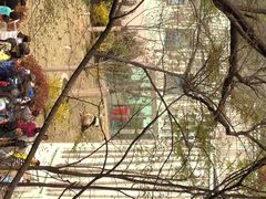 iphone_upload_pic-青岛动物园