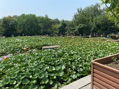 -白马涧龙池景区