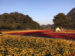 -广州市石门国家森林公园