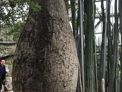 -南山植物园