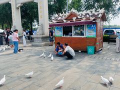 -天津妈祖文化园