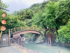-顺峰山公园