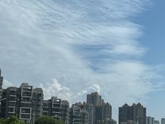 -武汉动物园