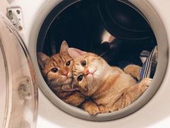 -三大炮豆花铺(锦里店)