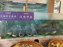 -鱼你相聚·河鲜馆(袁家岭店)