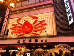 -蟹道乐(道顿堀本店)