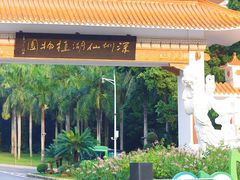 -深圳仙湖植物园