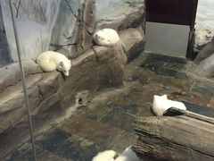 -梦幻海洋王国(吾悦广场张家港店)