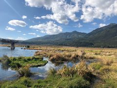 -腾冲北海湿地