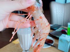 牡丹虾刺身-菊上尊品料理(八佰伴中心店)