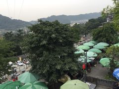 -老幺泉水鸡