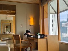 -新加坡丽思卡尔顿美年酒店