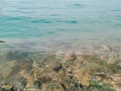 -露天矿生态公园