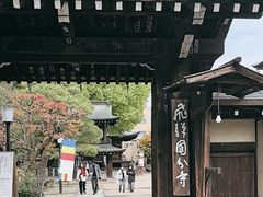 -医王山·飞騨国分寺