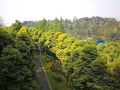 -中铁花水湾温泉酒店(大邑店)