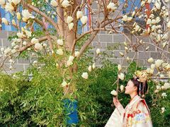 -大明幻境第一城