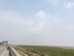 -南汇嘴观海公园