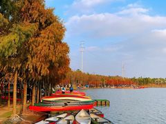 -上海海湾国家森林公园