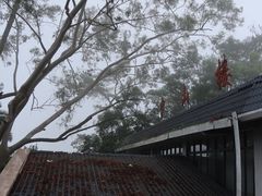 -白云山风景名胜区