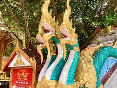 -西双版纳勐泐文化旅游区