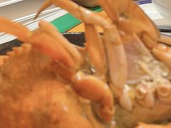 -莲花公园煎蟹·30年闽菜(火车站店)