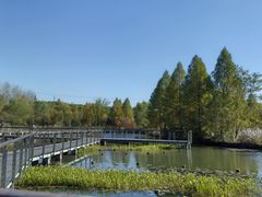 -昆山城市生态森林公园