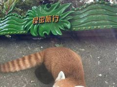 -杭州少年儿童公园