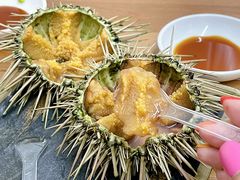 活海胆-海胆小馆(春柳店)