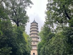 -灵谷景区