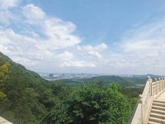 -牛首山文化旅游区