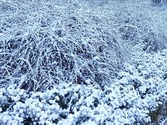-北运河水利风景区