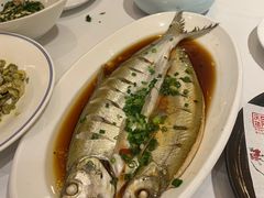 -同庆楼(滨湖万达广场店)