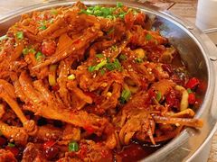 -新时代杨大师鸭爪爪