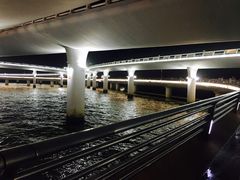 -演武大桥观景平台